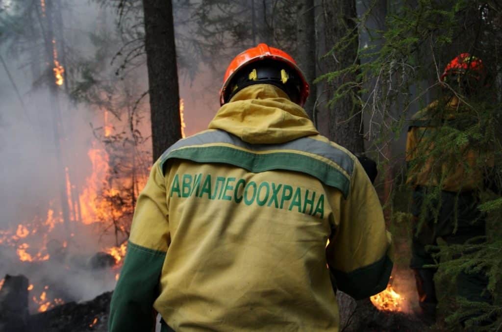 Авиалесоохрана
