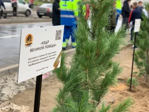 прошла акция по созданию Аллеи Славы