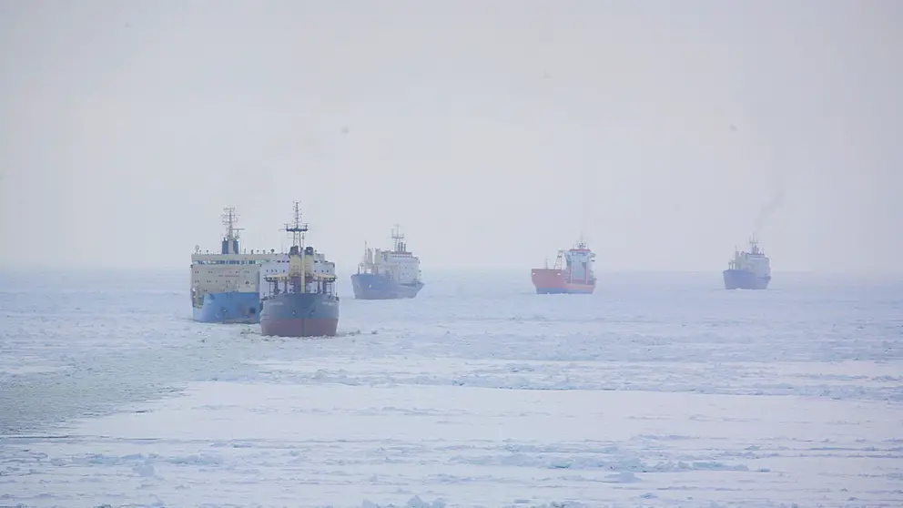 СФ продолжит экологическую очистку арктических островов