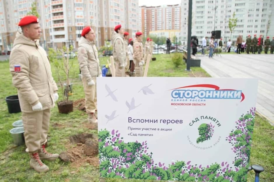 высажено более 100 тысяч деревьев в память о погибших Героях