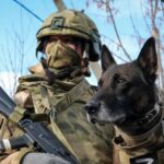 День войск национальной гвардии России
