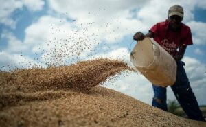 Россия передала более тонны зерна беженцам в Эфиопии