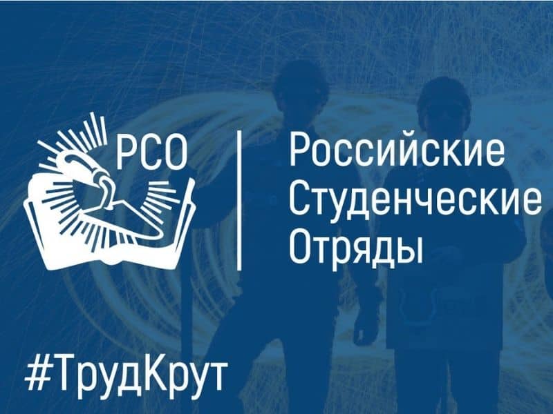 Российские студенческие отряды провели «Разговоры о важном»