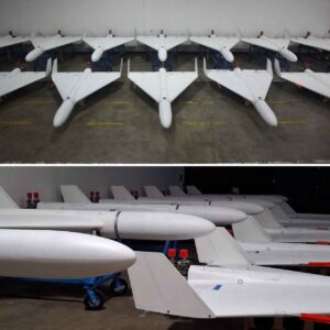 Американский ответ: новый БПЛА от Griffon Aerospace