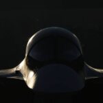 ОАК передала ВКС России очередную партию Су-34